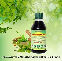 Ramakrishna Vidyut Ayurved Pharmacy Maka Mahabhringaraj Oil, 100 ml (Pack of 2)-thumb2