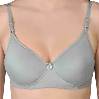 Women's Cotton Padded Non-Wired T-Shirt Lightly Padded Bra Multipack of 3-thumb2