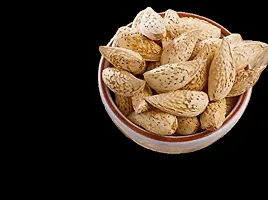 Kohinoor Hub Kashmiri Mamra Almonds in shell-thumb4