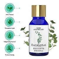 Eucalyptus Essential Oil-thumb2