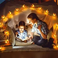 Crystal Zone Honey Bee Fairy String Lights, Plug in String Lights 16 LED Warm White Lights (Two Pin Plug, Corded Electric, Plastic), Pack of 1-thumb2