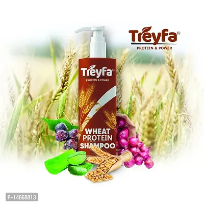 Treyfa wheat protein shampoo for hair growth  hair fall control | Hair follicle strengthening shampoo for long, thick and shining hair