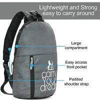 LeeRooy Small Light Wt. BG28 Gray backpack-thumb1