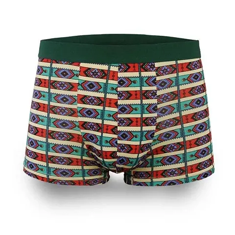 Fashionable Shorts for Men shorts 