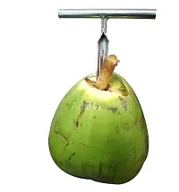 Stainless Steel Coconut Opener Tool-thumb3