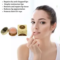 Vanilla Lip Balm with SPF, Shea Butter, Almond Oil, Jojoba Oil, Repairs Dry Chapped Lips, Deeply Moisturises, Restores Lip Tissue, UV Protection, Best for both women and men/ 12gms-thumb3