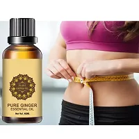 Ginger Essential Oil | Ginger Oil Fat Loss |  Ginger Oil, for Belly Drainage Ginger Massage Oils For Belly / Fat Reduction for Weight Loss, Fat Burner Oil For Men  Women (40ML) (PACK OF 4)-thumb2