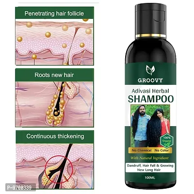 Adivasi Neelambari Ayurvedic Herbal Hair Shampoo For Dandruff Control And Hair Fall Control For Unisex Shampoo , 100 ML-thumb3