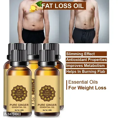 Ginger Essential Oil | Ginger Oil Fat Loss | Organics Herbal Fat Burner Fat loss fat go slimming weight loss body fitness oil Shape Up Slimming Oil For Stomach, Hips  Thigh (40ML) (PACK OF 5)-thumb0