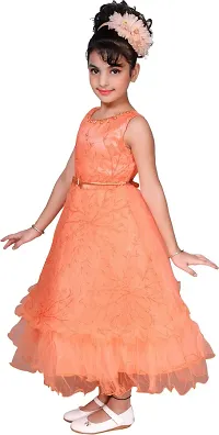 Fabulous Peach Net  Fit And Flare Dress For Girls-thumb2