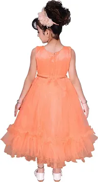 Fabulous Peach Net  Fit And Flare Dress For Girls-thumb1