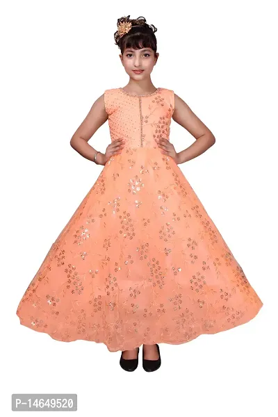 Girls Net Embroidered Gown Frock Partywear Dress