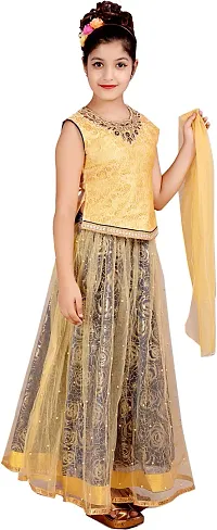 Alluring Navy Blue Net  Lehenga Cholis For Girls-thumb2