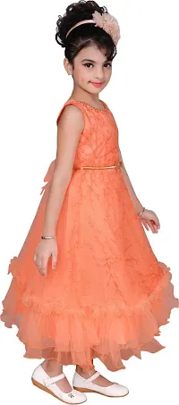 Fabulous Peach Net  Fit And Flare Dress For Girls-thumb3