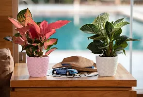 HARSHDEEP-Capri-Indoor Home Living Room Tabletop Decorative Flower Pots 5.5 Inch Set Of 5 (Blue)-thumb4
