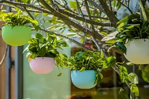 Hanging Plant Pot For Indoor Home Balcony Garden Decoration, 7.8 Inch (Red)-thumb3