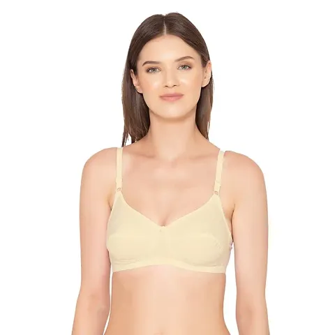 Groversons Paris Beauty Women's Printed Everyday T-Shirt Bra, Comfortable,  Non-Padded with Seam, Providing a Natural Curvy Shape (BR108)