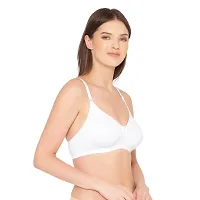 Groversons Paris Beauty Women's Seamless Non-Padded, Non-Wired Bra (BR003)-thumb3