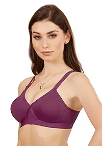 Groversons Paris Beauty Non Padded Wirefree Molded Cross Neck Full Coverage Bra- Pack of 2 Wine-thumb2