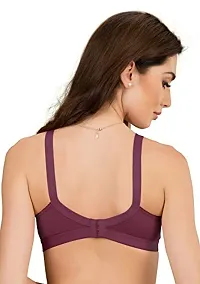 Groversons Paris Beauty Non Padded Wirefree Molded Cross Neck Full Coverage Bra- Pack of 2 Wine-thumb3