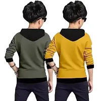 Stylish Multicoloured Cotton Blend Printed Long Sleeve Hooded T-Shirt For Boys Pack Of 2-thumb1