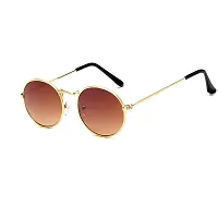 Davidson Round Green and Brown Sunglass-thumb2