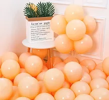 Alaina Pastel Balloons for Birthday Decoration, Baby Shower, Marriage Anniversary Party Decoration - (Pack of 100 Orange)-thumb1