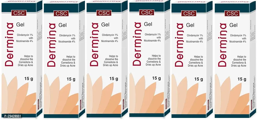 Dermina Gel 15gm (Pack of 6)