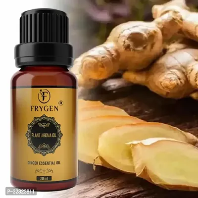 Ginger Essential Oil | Ginger Oil Fat Loss | Ginger Oil, for Belly Drainage Ginger Massage Oils For Belly / Fat Reduction for Weight Loss, Fat Burner Oil For Men  Women