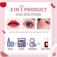 Lip Stain 3in1 Tint Easy Application, Shimmery, Blends Perfectly onto Skin Mini Liquid Lipstick,Sheer Multi Stick Hydrating Formula Moisturizing Cheeks and Eyes, All Day Wear Tint-thumb1