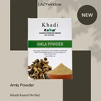 Khadi Kamal Herbal Amla Powder for Man and Women, 100% Natural Hair Growth 100g By LAZYwindow Combo Pack-thumb1