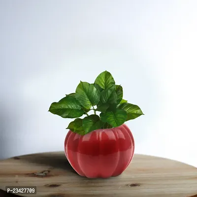 Muskmelon Red Ceramic Pot For Plants To Decorate Your Space (Office/Living Room/Dining Room/Garden)