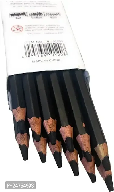 sabahz Charcoal Drawing Pencils Set of 12 Pieces: Soft-Medium Hard for Drawing Pencil (Black)