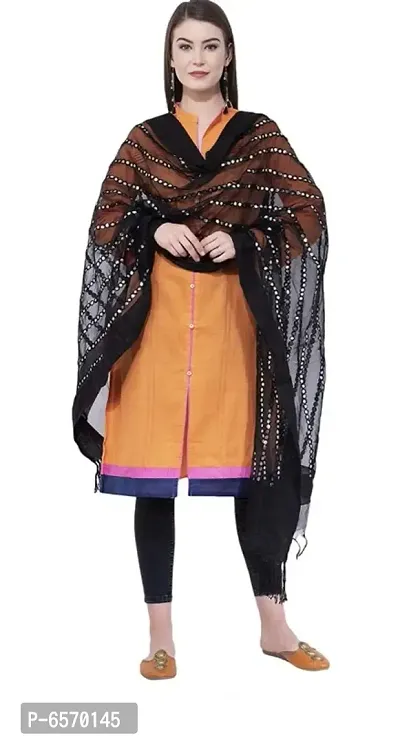 MOEZA Black Orgenza Mirror Stripe Dupatta-thumb2