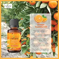 Nature Sandalwood Orange Essential Oil Set Organic Pure for Sandalwood Essential Oil for Diffuser  Aromatherapy Orange Oil - (10 ML Each)-thumb4