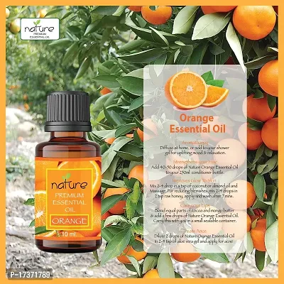 Nature Sandalwood Orange Essential Oil Set Organic Pure for Sandalwood Essential Oil for Diffuser  Aromatherapy Orange Oil - (10 ML Each)-thumb5