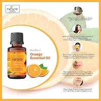 Nature Sandalwood Orange Essential Oil Set Organic Pure for Sandalwood Essential Oil for Diffuser  Aromatherapy Orange Oil - (10 ML Each)-thumb2