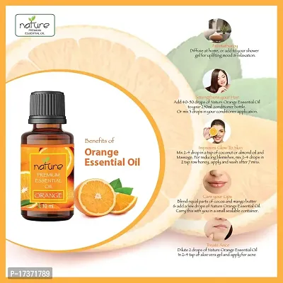 Nature Sandalwood Orange Essential Oil Set Organic Pure for Sandalwood Essential Oil for Diffuser  Aromatherapy Orange Oil - (10 ML Each)-thumb3