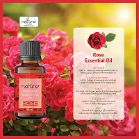 Nature Sandalwood Rose Essential Oil Set Organic Pure for Sandalwood Essential Oil for Diffuser  Aromatherapy Rose Oil - (10 ML Each)-thumb4