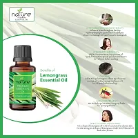 Nature Sandalwood Lemongrass Essential Oil Set Organic Pure for Sandalwood Essential Oil for Diffuser  Aromatherapy Lemongrass Oil - (10 ML Each)-thumb2