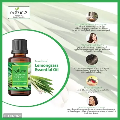 Nature Sandalwood Lemongrass Essential Oil Set Organic Pure for Sandalwood Essential Oil for Diffuser  Aromatherapy Lemongrass Oil - (10 ML Each)-thumb3