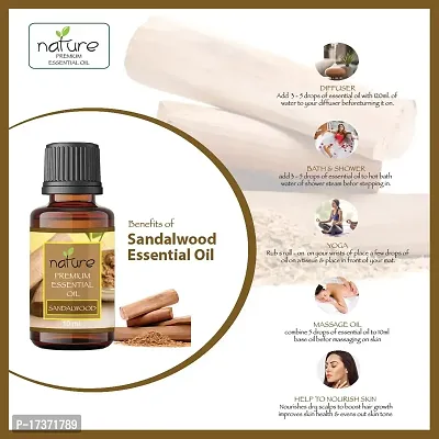 Nature Sandalwood Orange Essential Oil Set Organic Pure for Sandalwood Essential Oil for Diffuser  Aromatherapy Orange Oil - (10 ML Each)-thumb2