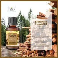 Nature Sandalwood Orange Essential Oil Set Organic Pure for Sandalwood Essential Oil for Diffuser  Aromatherapy Orange Oil - (10 ML Each)-thumb3