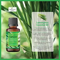 Nature Sandalwood Lemongrass Essential Oil Set Organic Pure for Sandalwood Essential Oil for Diffuser  Aromatherapy Lemongrass Oil - (10 ML Each)-thumb4