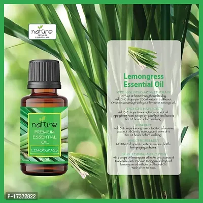 Nature Sandalwood Lemongrass Essential Oil Set Organic Pure for Sandalwood Essential Oil for Diffuser  Aromatherapy Lemongrass Oil - (10 ML Each)-thumb5