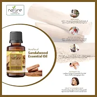 Nature Sandalwood Lemongrass Essential Oil Set Organic Pure for Sandalwood Essential Oil for Diffuser  Aromatherapy Lemongrass Oil - (10 ML Each)-thumb1