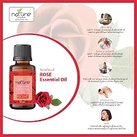 Nature Sandalwood Rose Essential Oil Set Organic Pure for Sandalwood Essential Oil for Diffuser  Aromatherapy Rose Oil - (10 ML Each)-thumb2