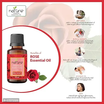 Nature Sandalwood Rose Essential Oil Set Organic Pure for Sandalwood Essential Oil for Diffuser  Aromatherapy Rose Oil - (10 ML Each)-thumb3