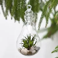Glass Bulb Shape Hanging Planter, T-Light Candle Holder, Bulb Shaped Terrarium For Artificial Plants or Indoor Gardening - Pack of 1 (1 Piece 9 Inch Terrarium)-thumb1