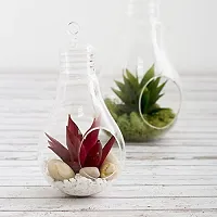 Glass Bulb Shape Hanging Planter, T-Light Candle Holder, Bulb Shaped Terrarium For Artificial Plants or Indoor Gardening - Pack of 1 (1 Piece 9 Inch Terrarium)-thumb2
